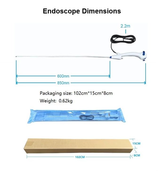 Biological Microscope
